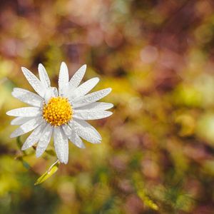 窗台旧梦与时光余温