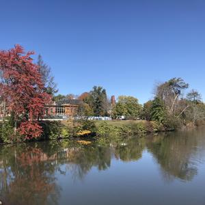 santa monica dream (Cover.)（翻自 Angus & Julia Stone）