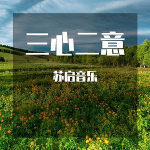 双心 (5)