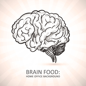 Brain Food