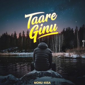 Taare Ginu