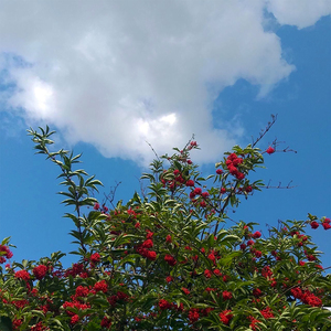 Притворяешься