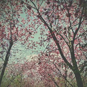 你今天过的怎样prod by lik