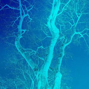 希望你离开我更快乐