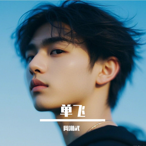 单飞
