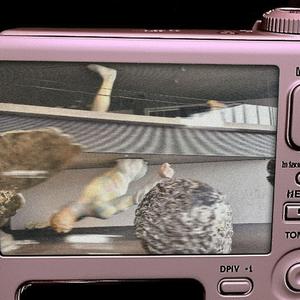 Charlie Puth Pop Type Beat “Come Close”