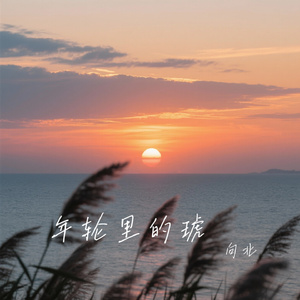 年轮里的琥珀