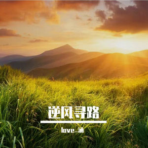 逆风寻路