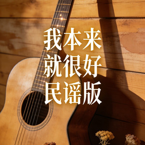 我本来就很好民谣版