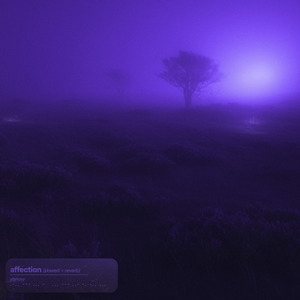 Affection (Slowed + Reverb)