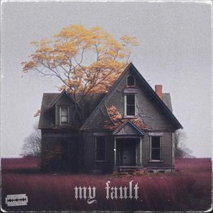 my fault (feat. Vito)