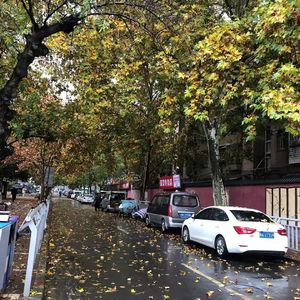 十年寒窗的夏雨