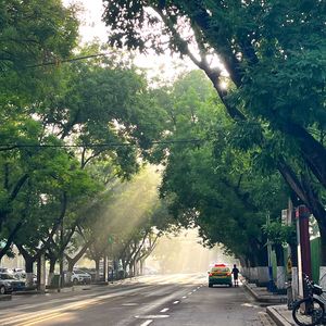 叶子（吉他弹唱）