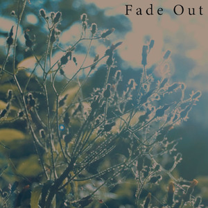 Fade Out (feat. cha ma)