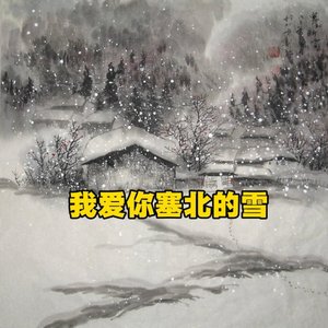 我爱你塞北的雪
