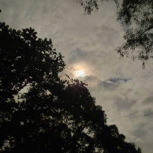 独行侠+爱如潮水（remix）