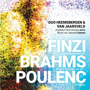 Sonate No. 1 in F Minor für Klavier und Klarinette, Op. 120: I. Allegro appassionato