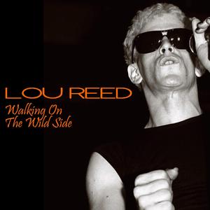 Interview with Lou Reed