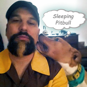 Sleeping Pitbull