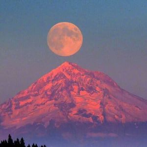 逝年（Cover 夏小虎）