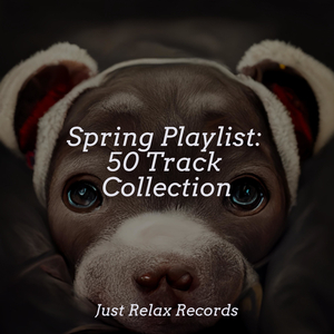 Cresting Emerald Secrets