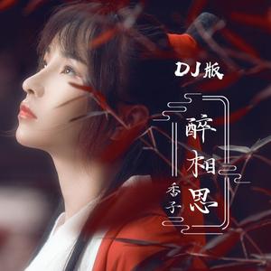 醉相思 (DJ名龙版)