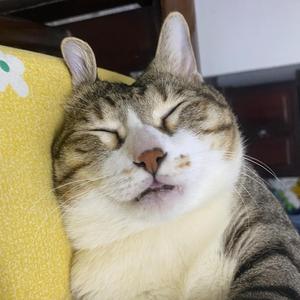 Lo say bye la bye remake (feat. Ellies & Dymon)