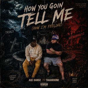 How you goin tell me (how im feeling) (feat. ThaaRedOne)