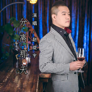 分离那天（DJ舞曲）