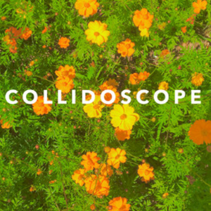 Collidoscope