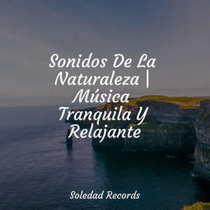 Caleidoscopio De Sueños