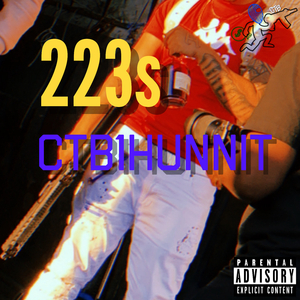 223s