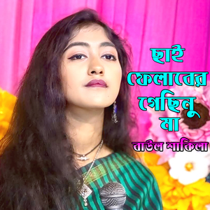 ছাই ফেলাবার গেছিনু মা