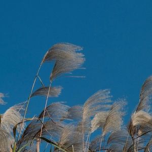 那年风轻轻