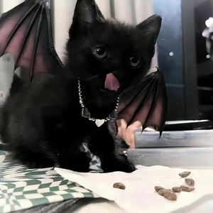 变容易（prod YUSENISHERE）