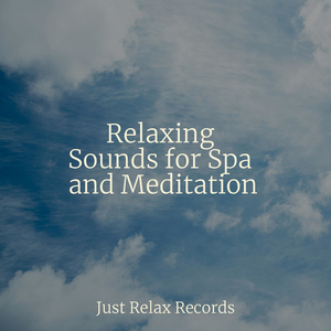 Shifting Visions Within