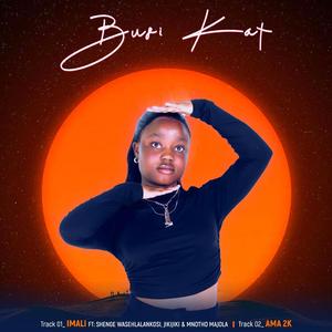 Imali (feat. Shenge Wasehlalankosi, Jikijiki & uMnotho Majola)