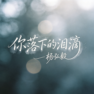 你落下的泪滴