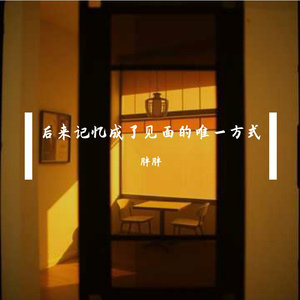 后来记忆成了见面的唯一方式