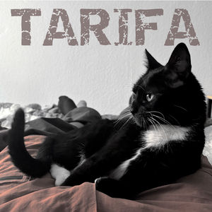 Tarifa