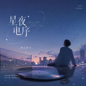 星夜电序DJ版