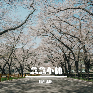 念念不休