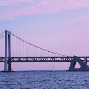 戴珍珠耳环的少女