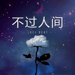 不过人间 (Lofi Beat)