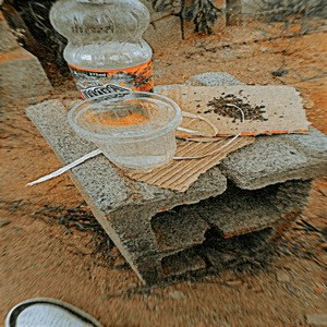 Gin