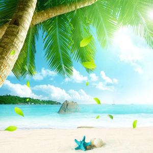 盛夏阳光里的沙滩（1）