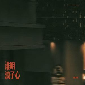 谁明浪子心 (DJ版)
