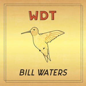 Wdt