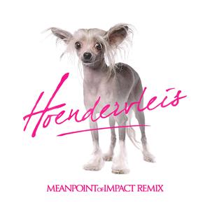 Hoendervleis (MPI Remix)