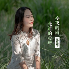 今夜的雨是谁的心碎